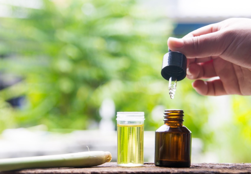 Insect-Repellent Essential Oils